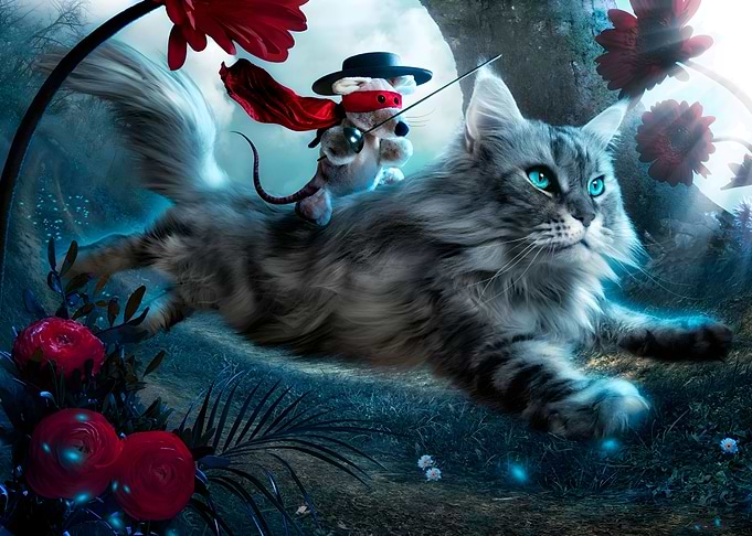 cat