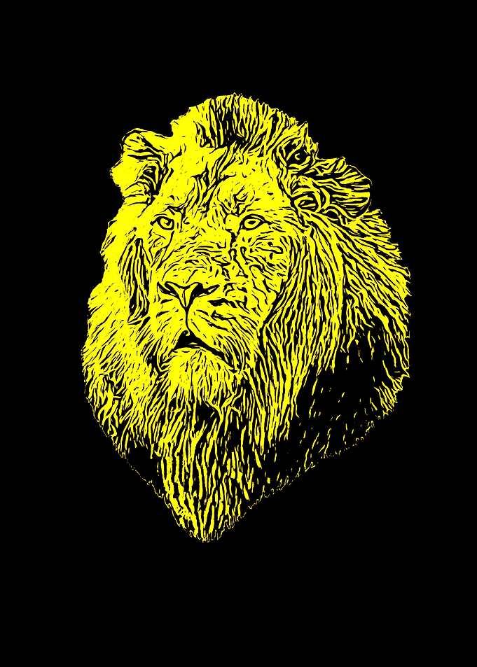 Lion portrait