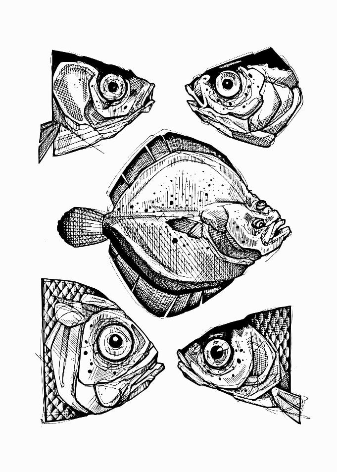 fish