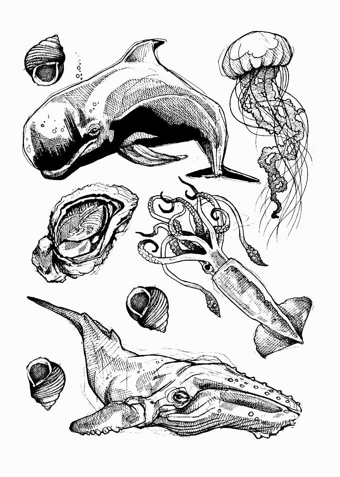 fish
