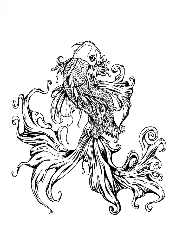 fish