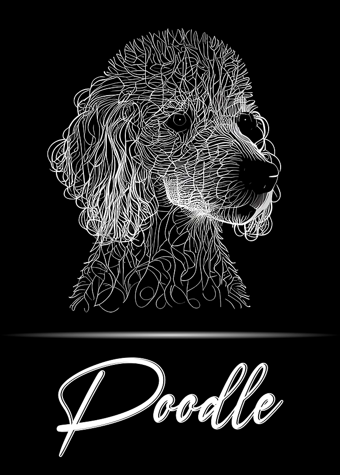 Poodle