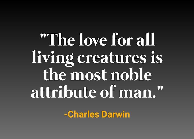 Charles Darwin quote