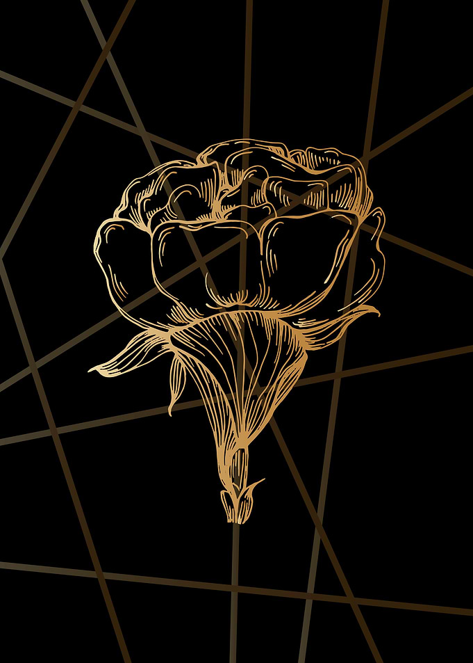 Peonies