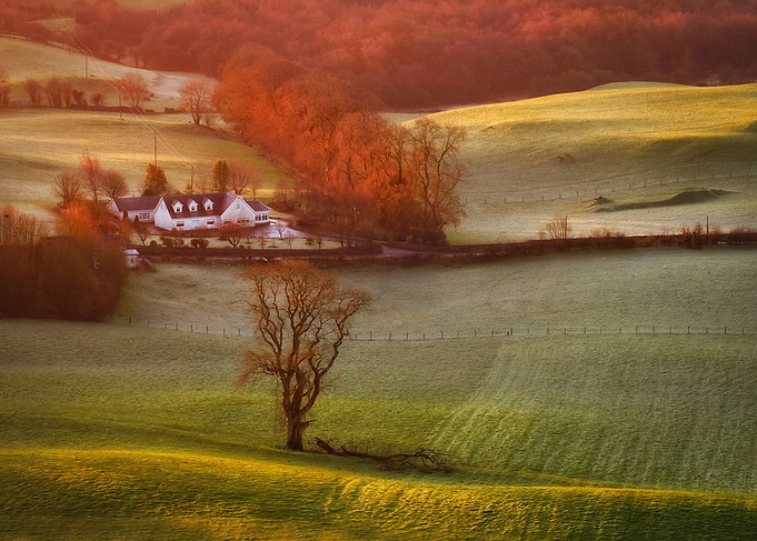 Rural morning