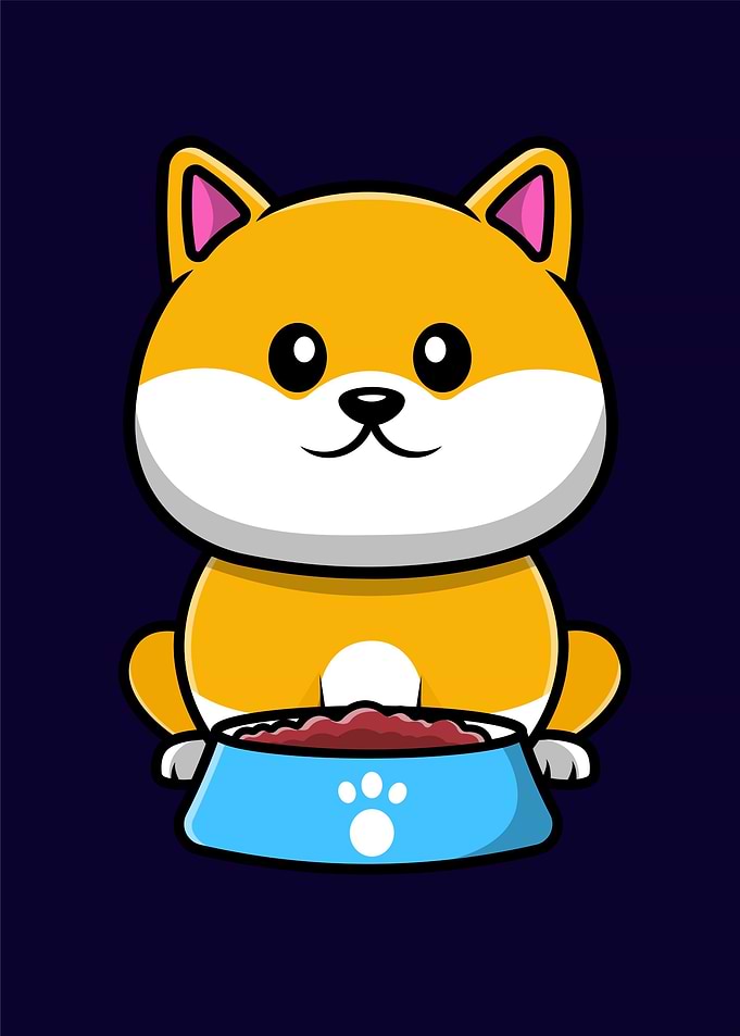 cat cute
