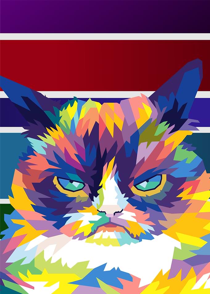 grumpy cat meme