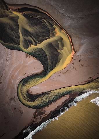 The Snake