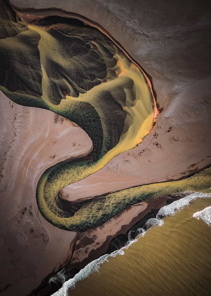 The Snake