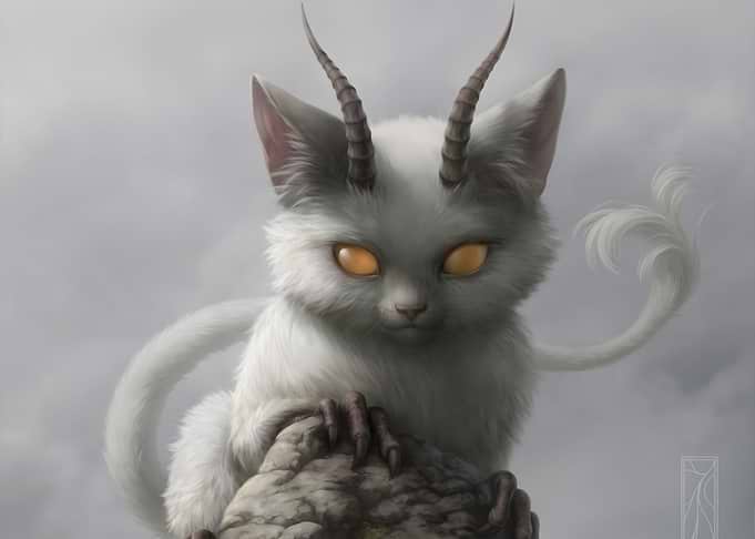 cat