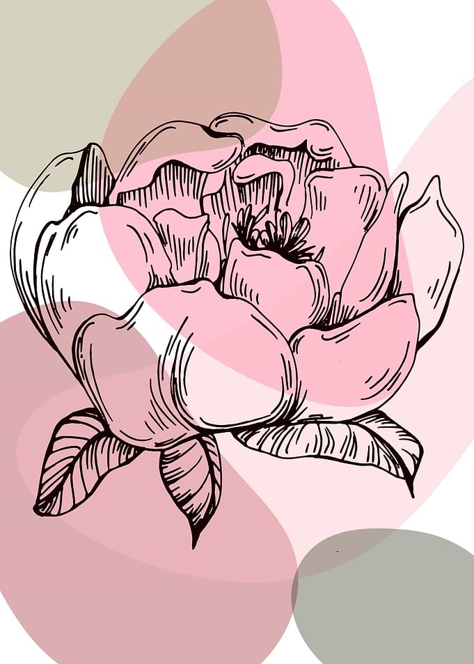 Peony