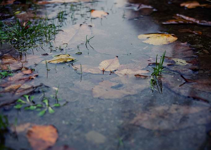 Mud water autumn after rai