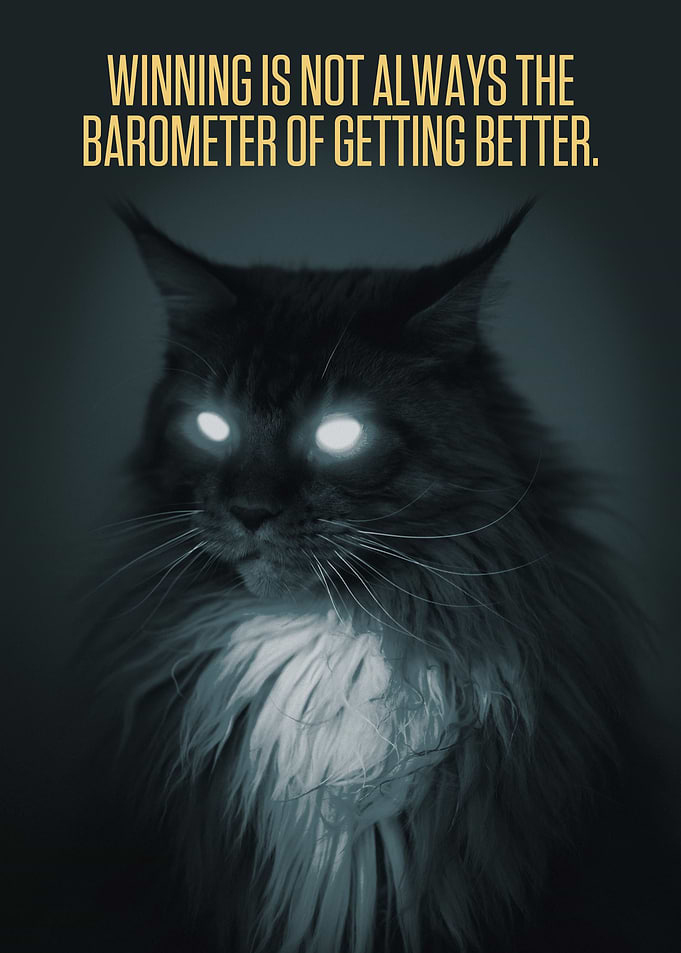 Tiger Quotes