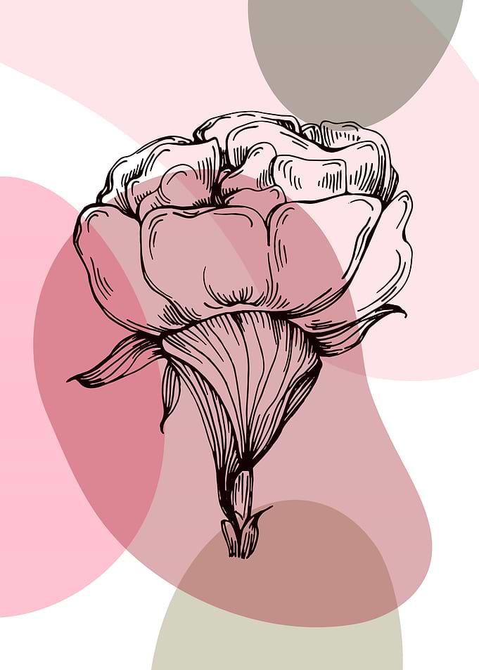 Peony