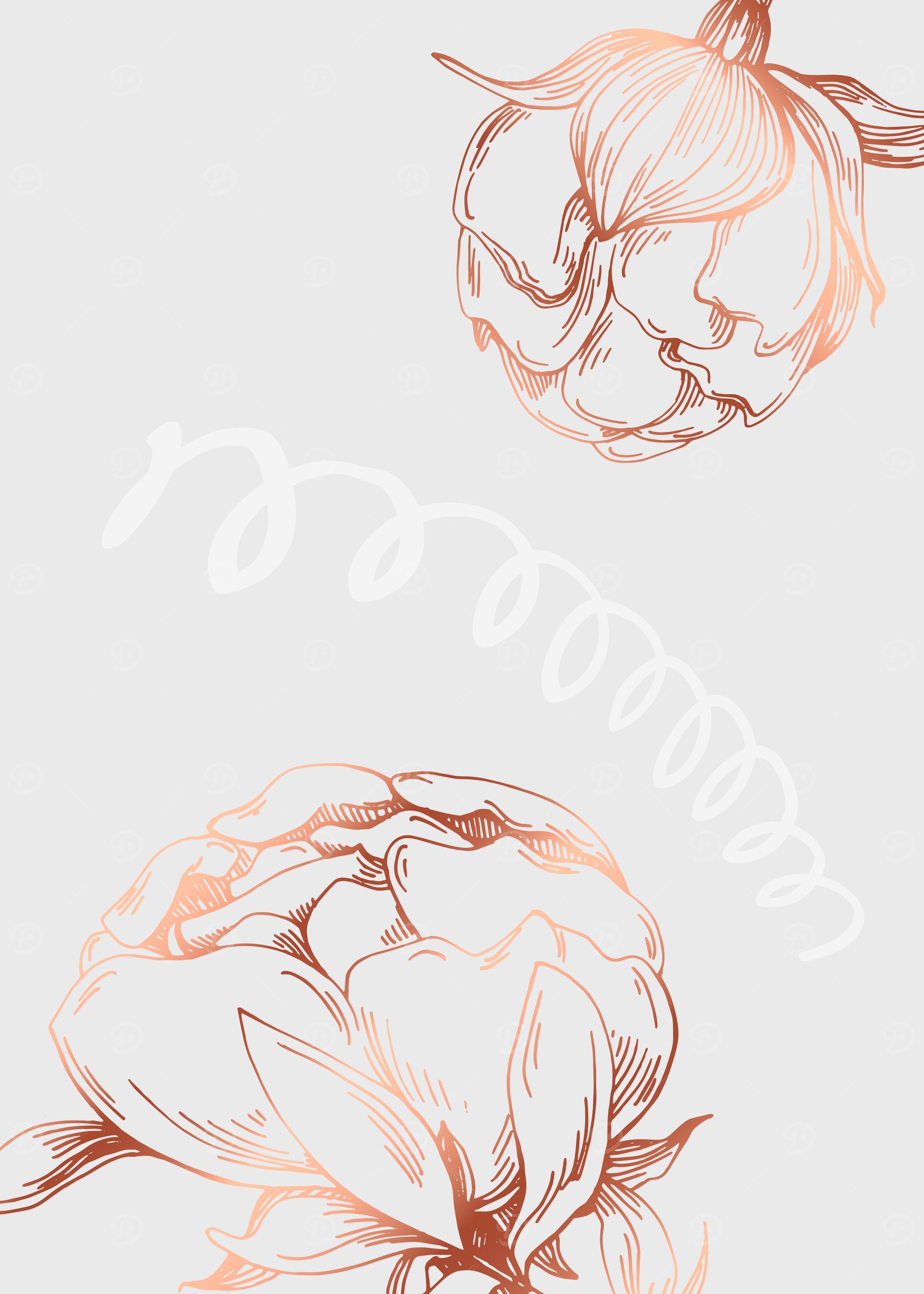 Peonies