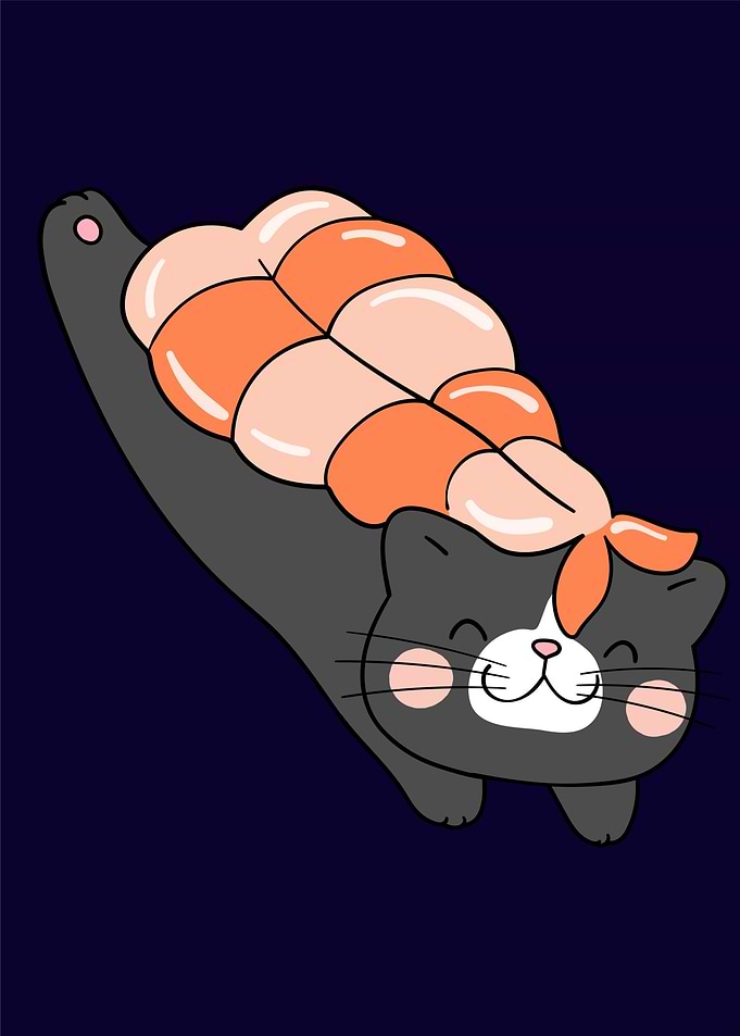 cat cute