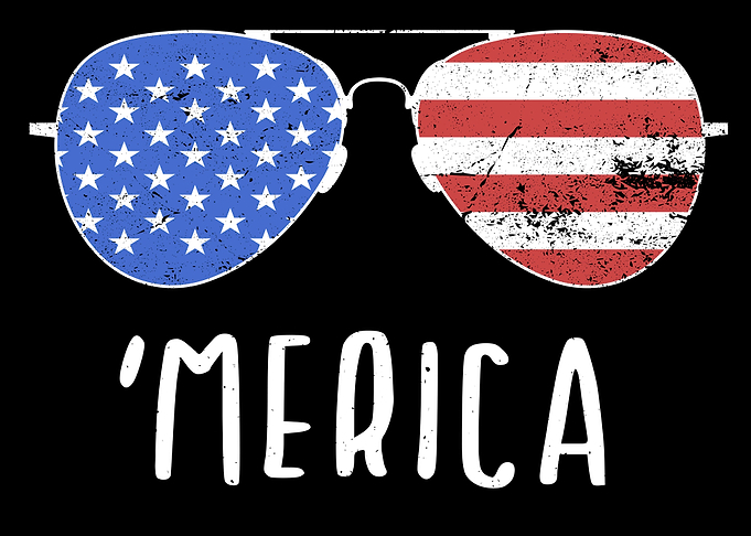 MERICA Sunglasses Funny