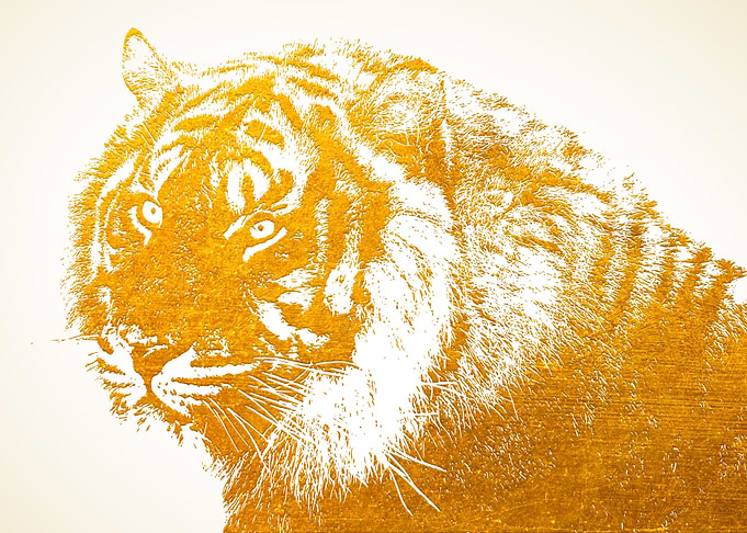 Gold Tiger