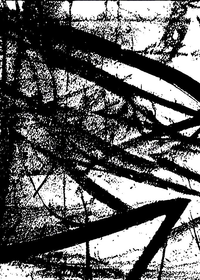Black and White Abstract