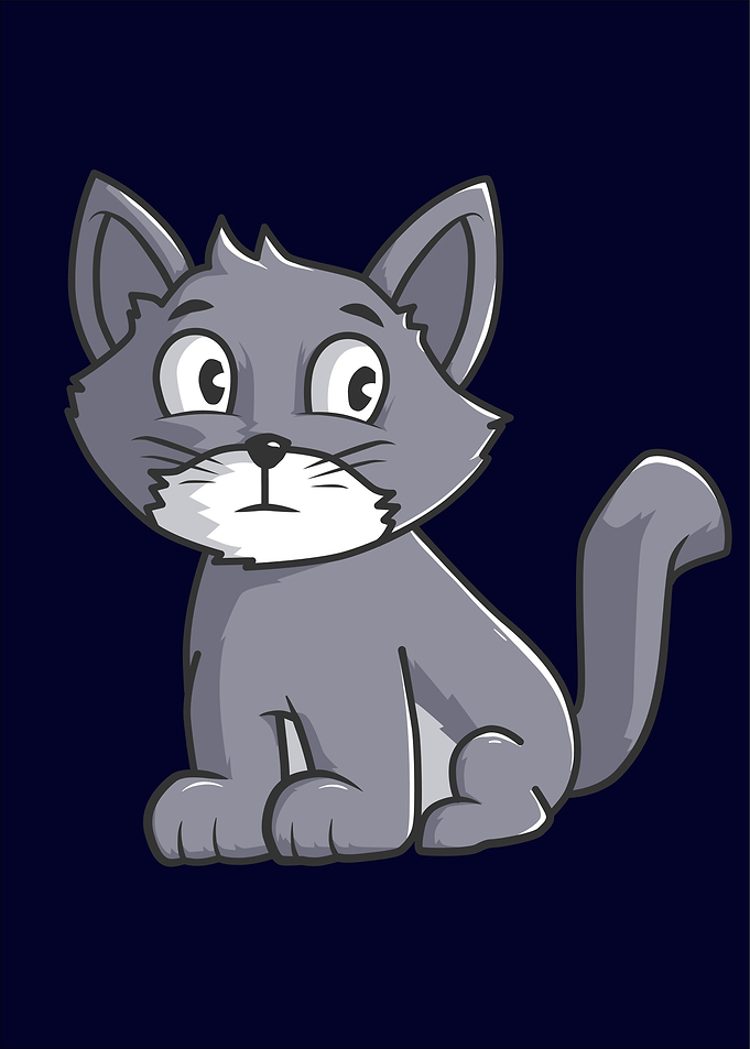 cat cute