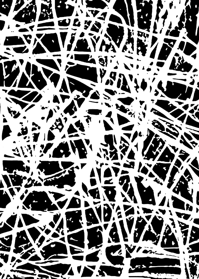 Black and White Abstract