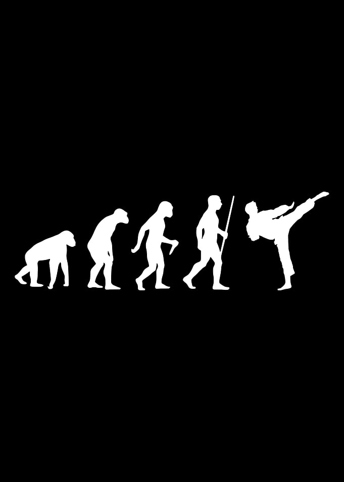 Karate High Kick