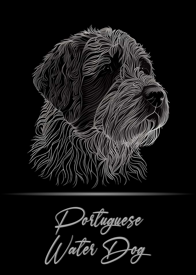 Portuguese Water Dog