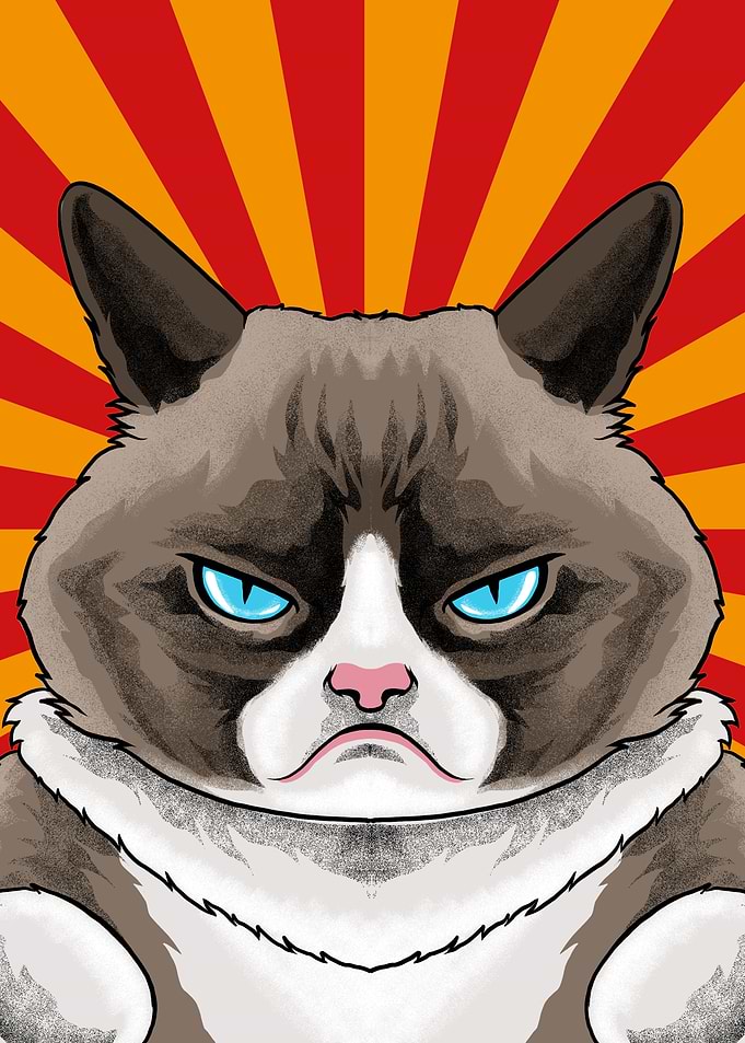 Grumpy Cat