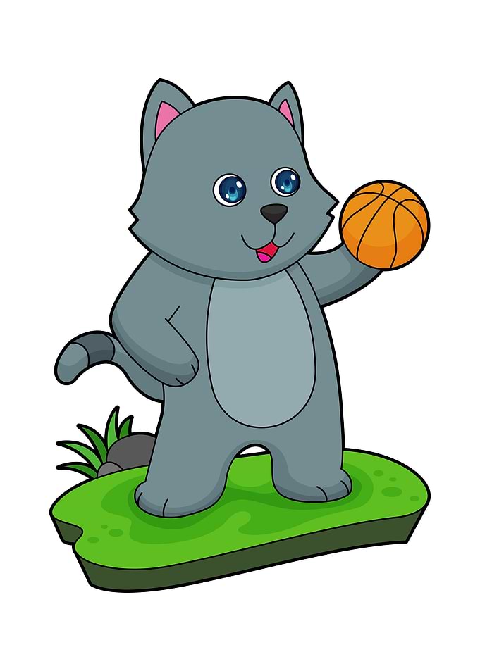Cat Basketball Sports