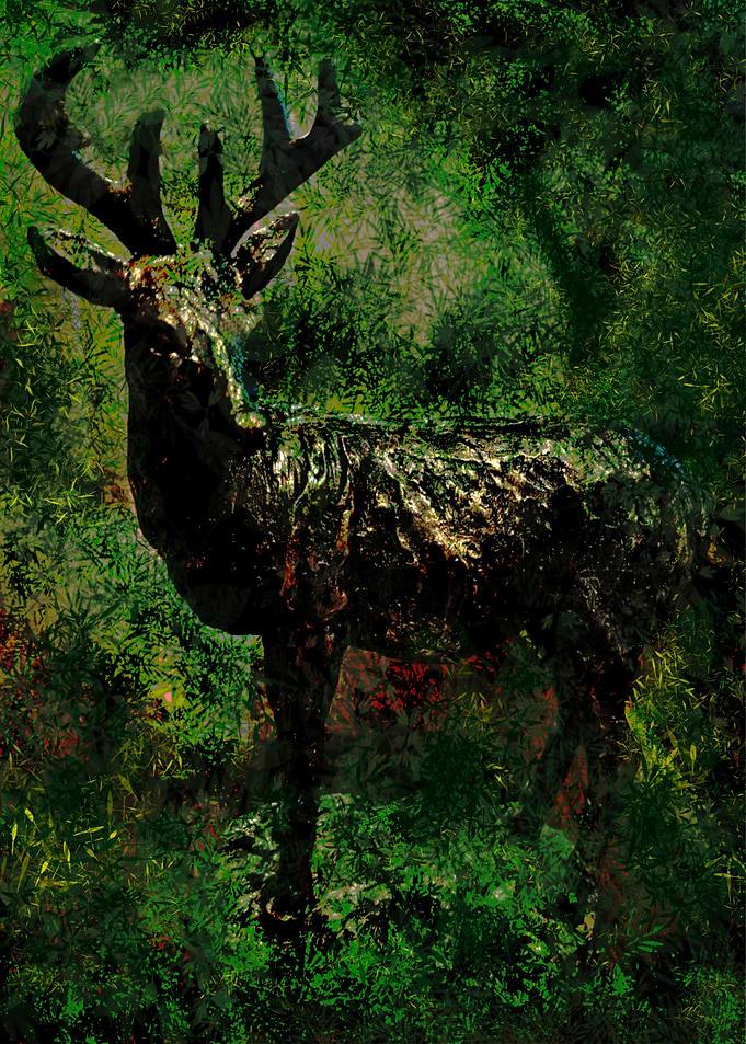 Stag Deer in Summer Glade