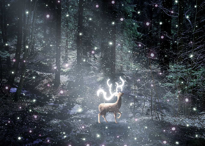 deer light rain