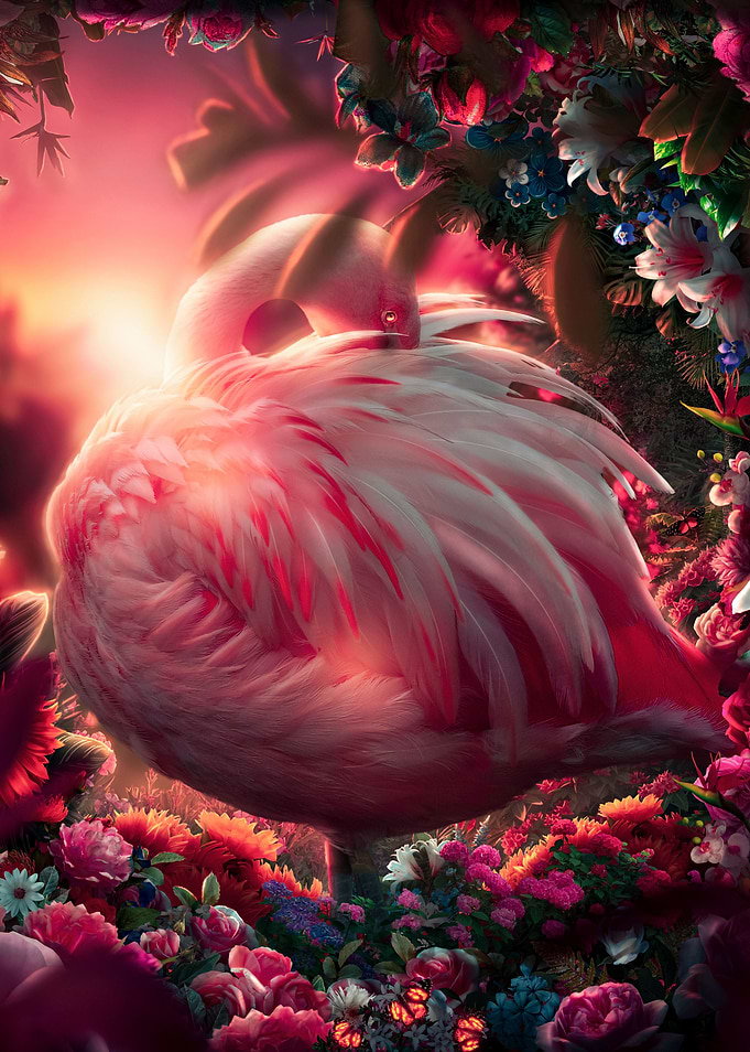 Flamingo and Roses
