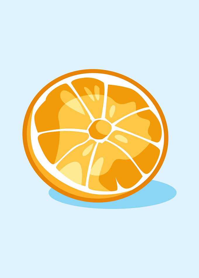 Orange Fruits Vector