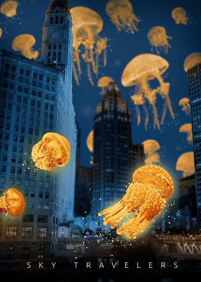 City Jellyfish Adventure