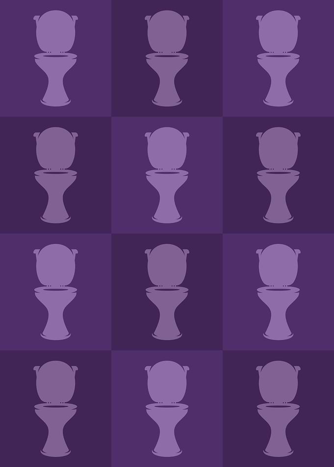 Toilet Icons Pop Art