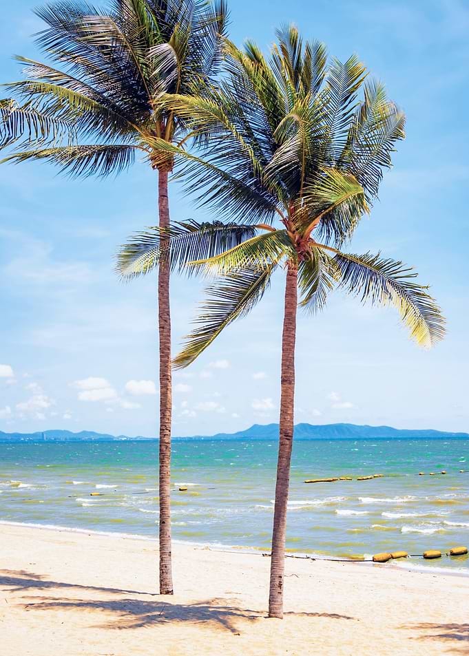 Tropical Beach