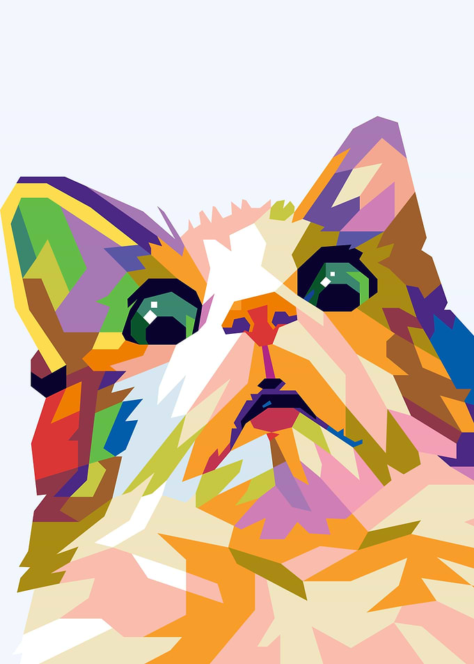 scared cat