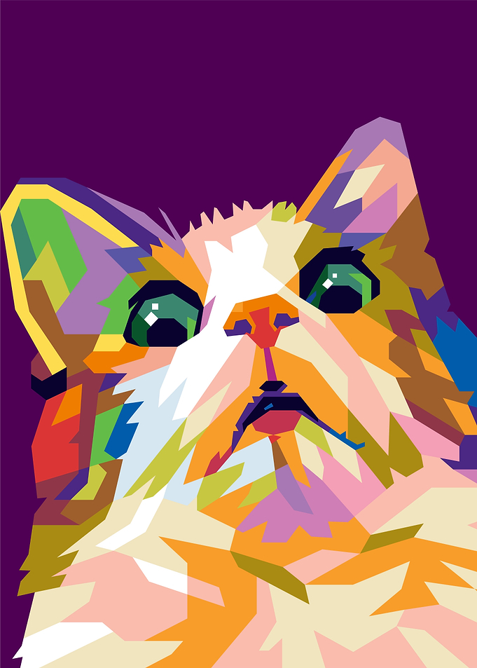 scared cat