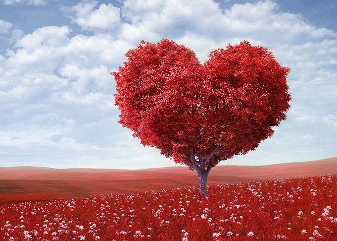 Valentines Landscape