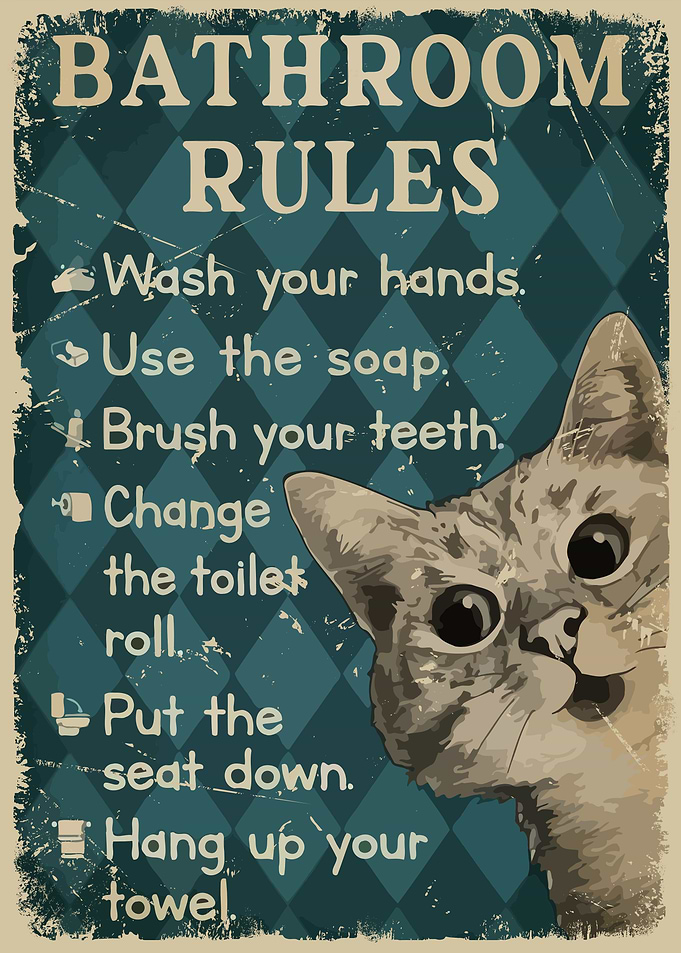 Bathroom Funny