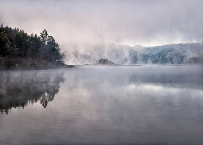 Mist