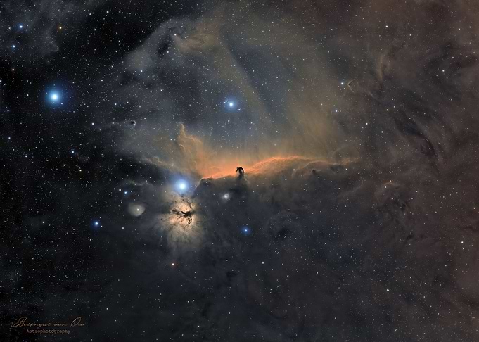 Wiedfeld of the Horsehead