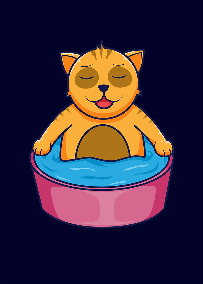 cat cute