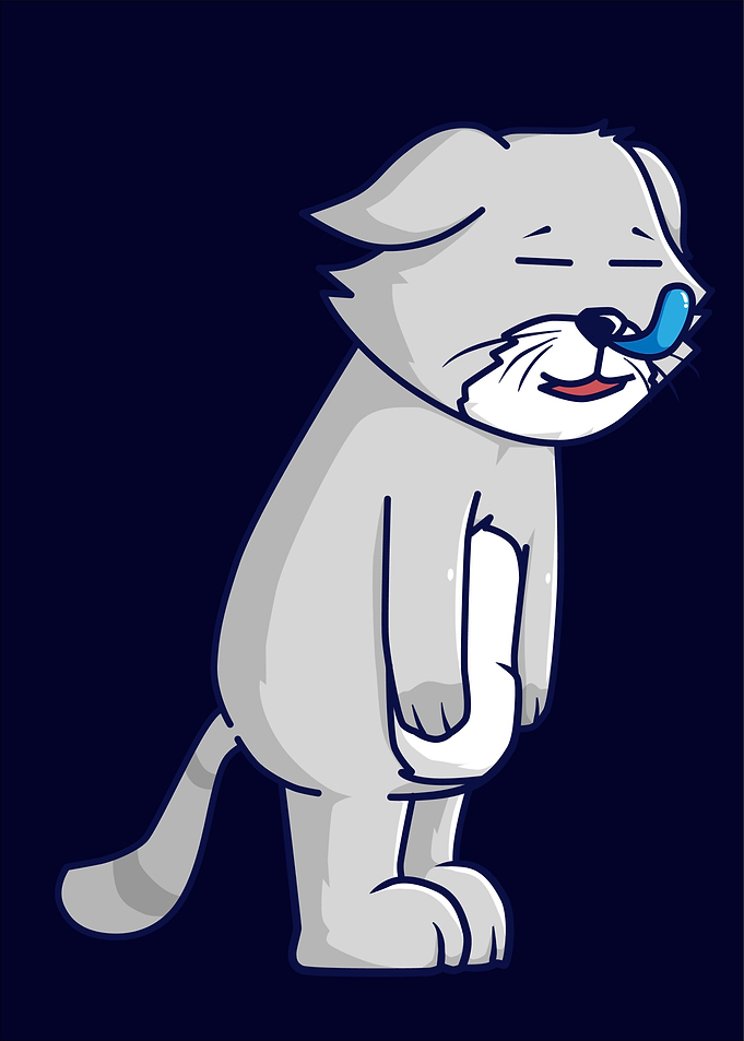 cat cute