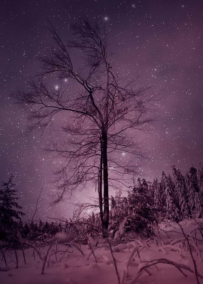 Nighttime Magic