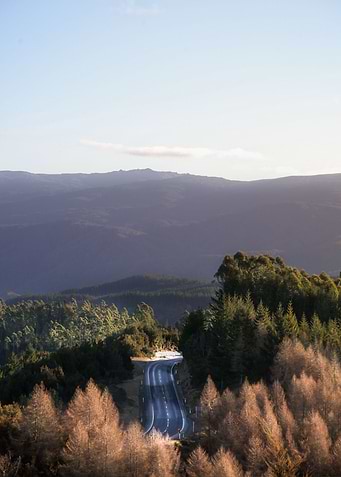 Nature of New Zealand