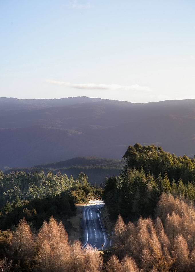 Nature of New Zealand
