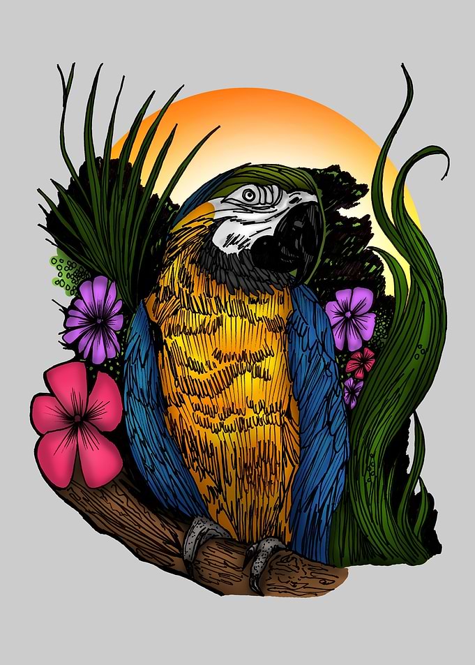 Tropical Parrot