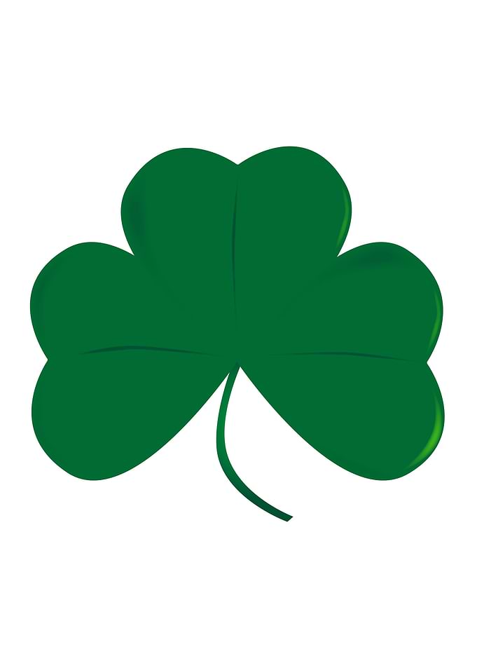 Lucky Irish Shamrock