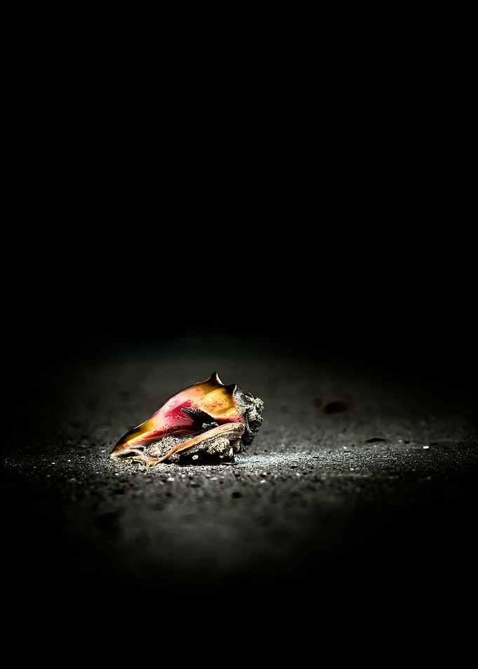 Shell